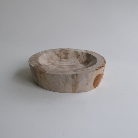 Accessory Tray #007