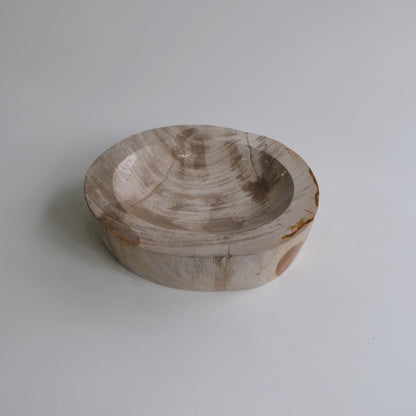 Accessory Tray #007
