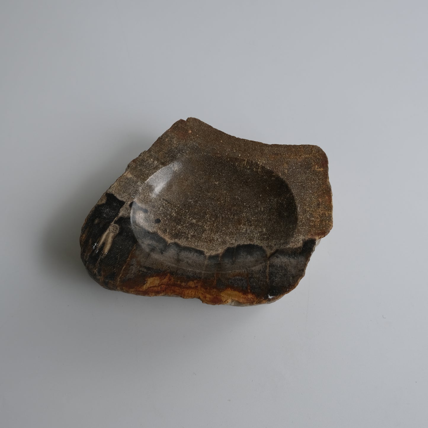 Accessory Tray #029
