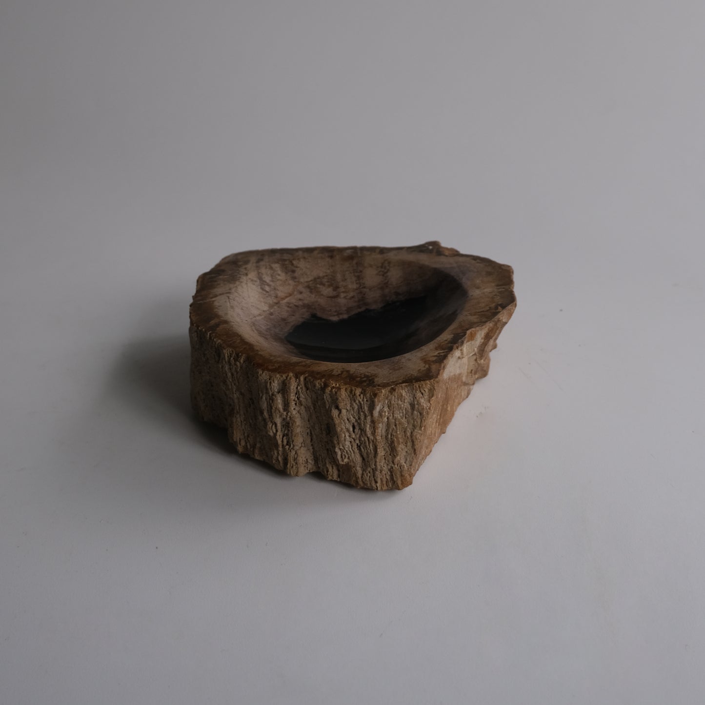 Accessory Tray #008