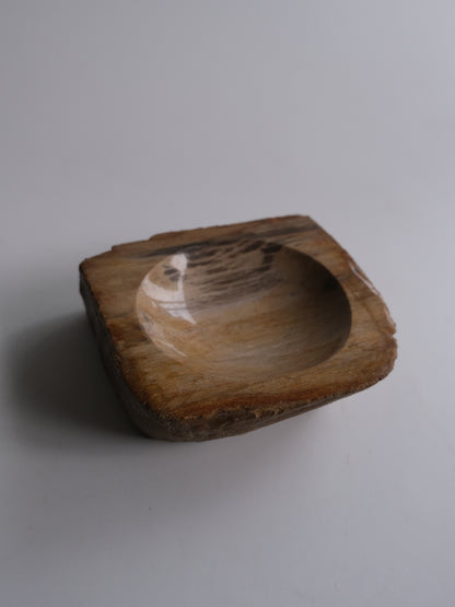 Accessory Tray #024