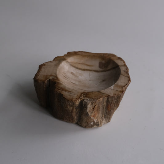 Accessory Tray #009