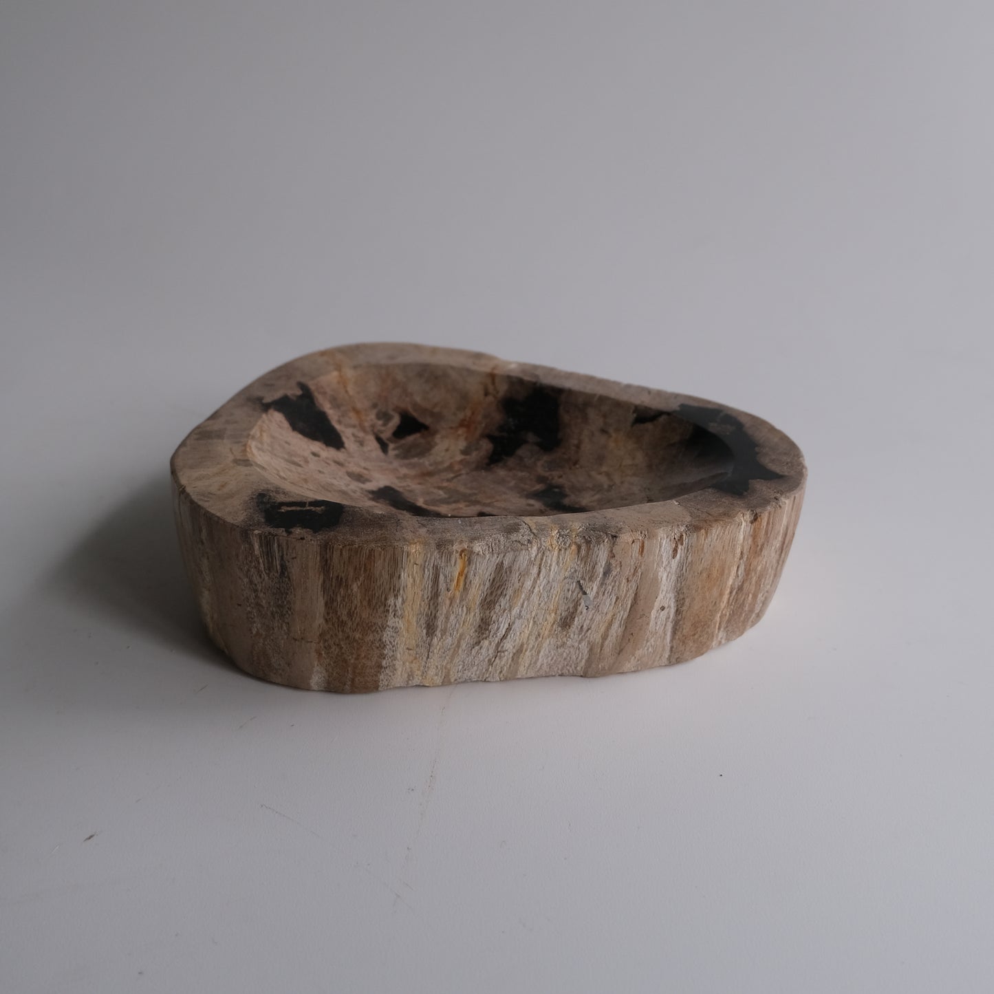 Accessory Tray #046