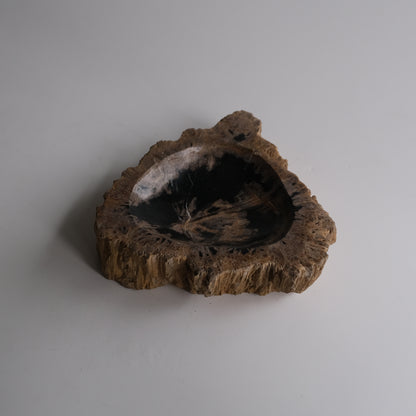 Accessory Tray #021