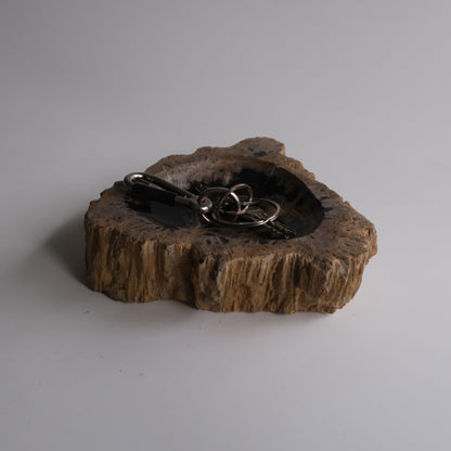 Accessory Tray #021