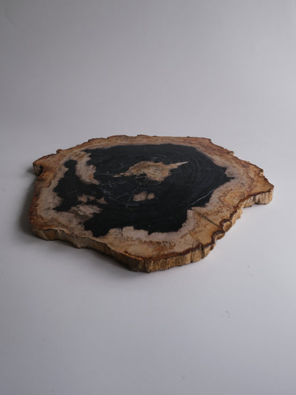 Wood Plate #005