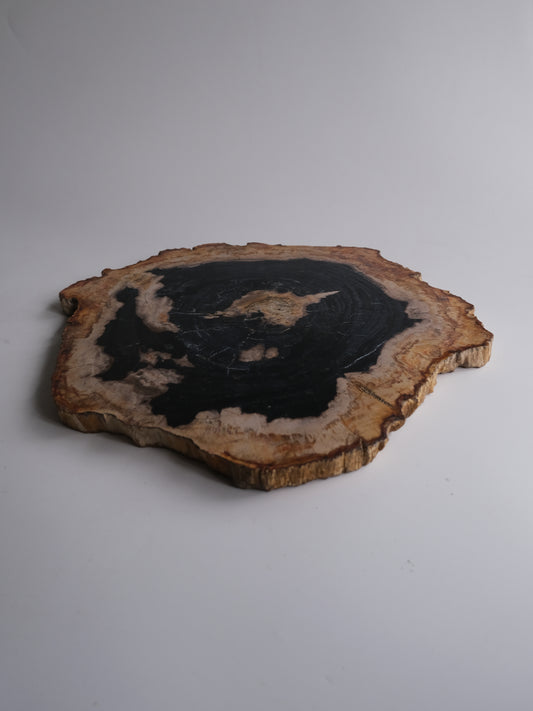 Wood Plate #005
