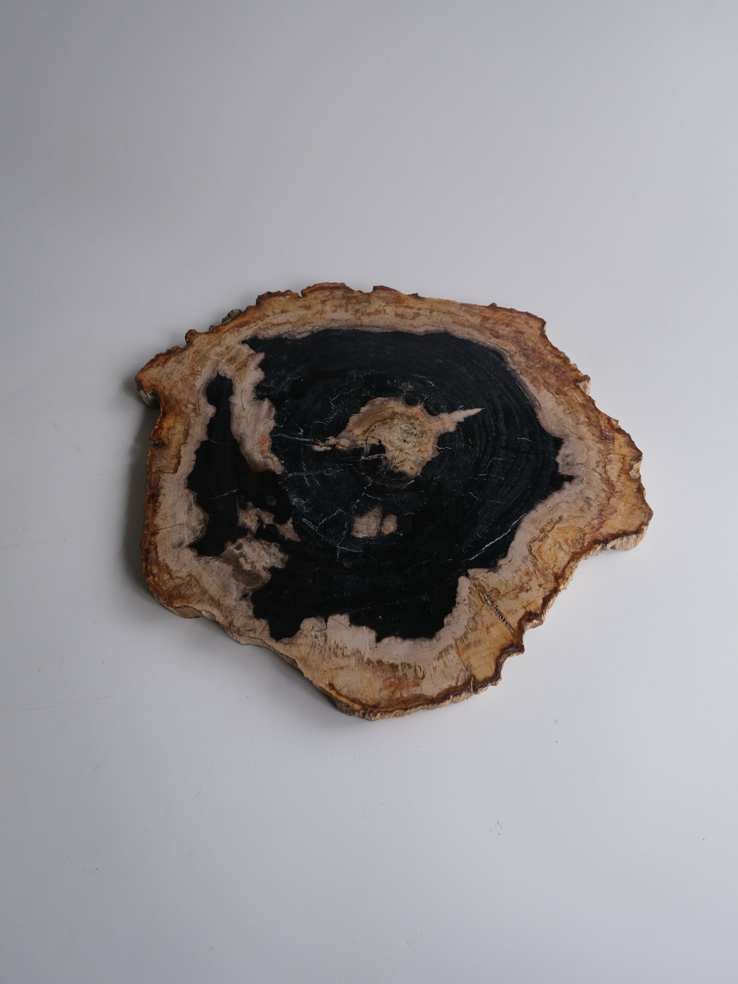 Wood Plate #005