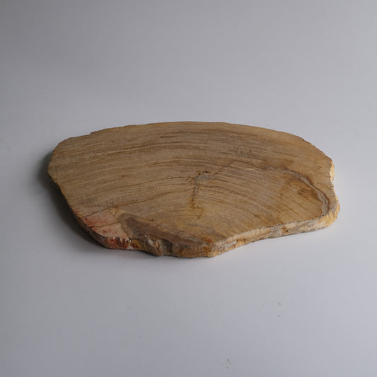 Wood Plate #019
