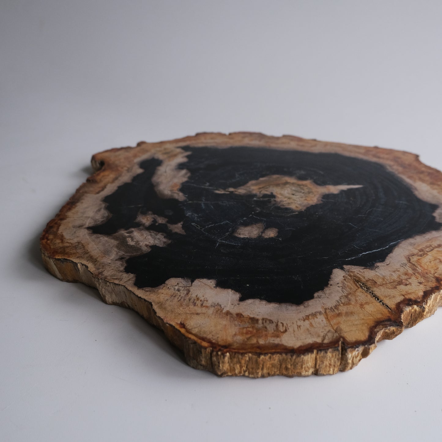 Wood Plate #005