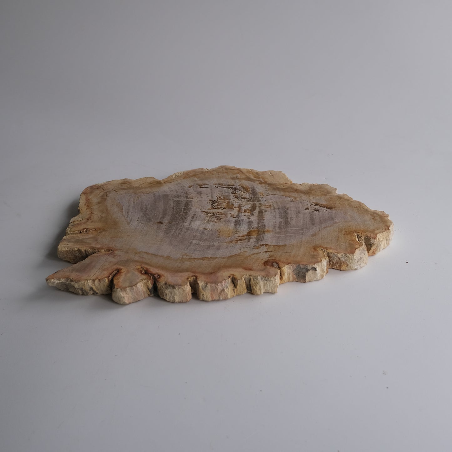 Wood Plate #025