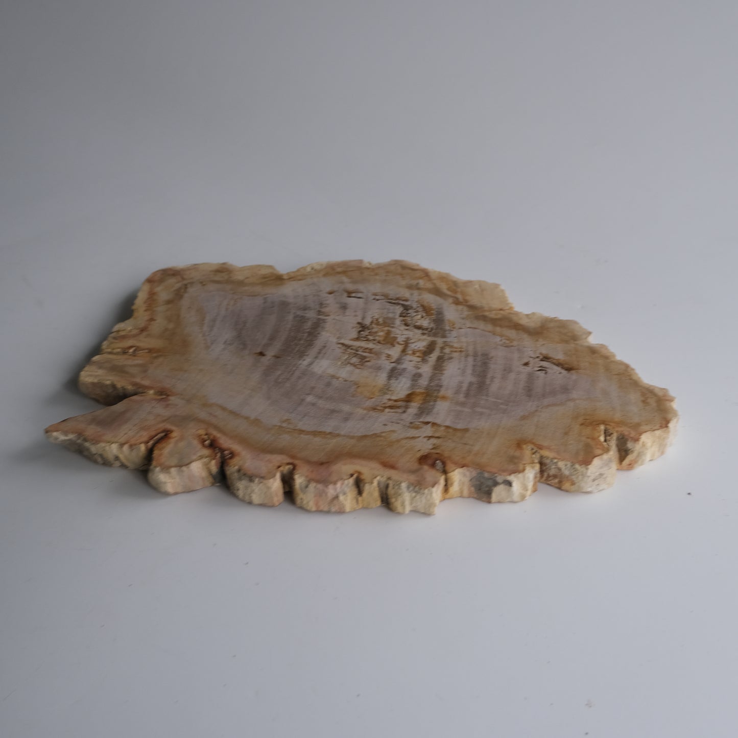 Wood Plate #025