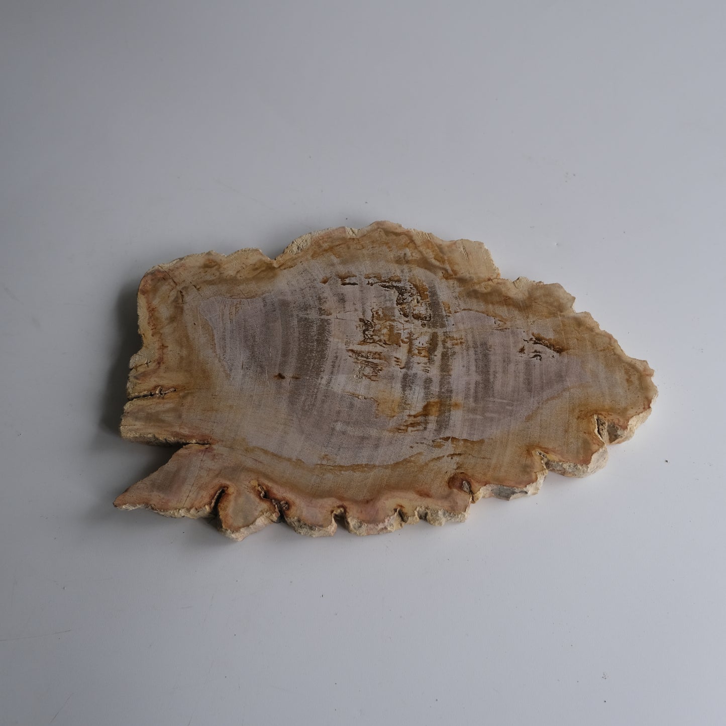 Wood Plate #025