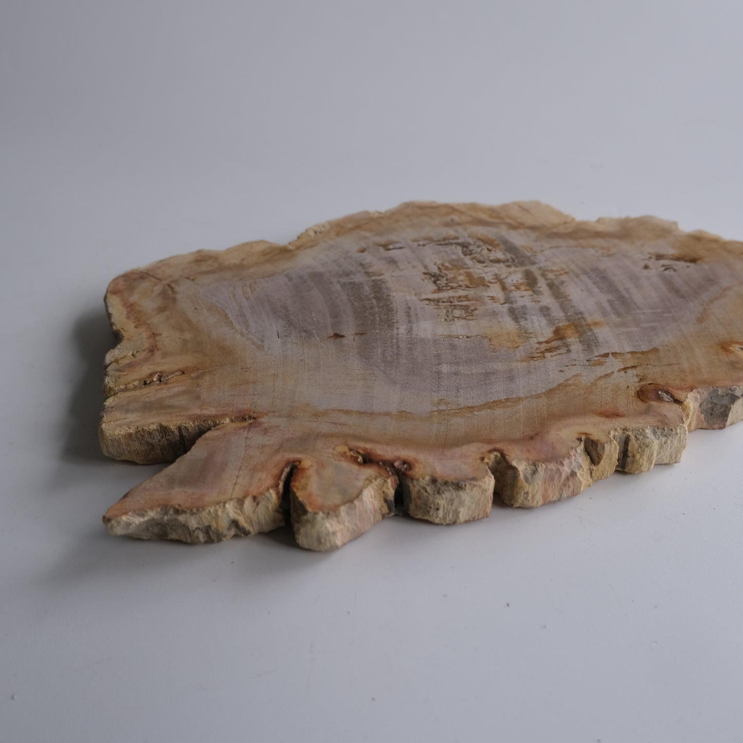 Wood Plate #025