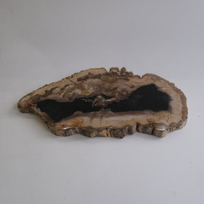 Wood Plate #008