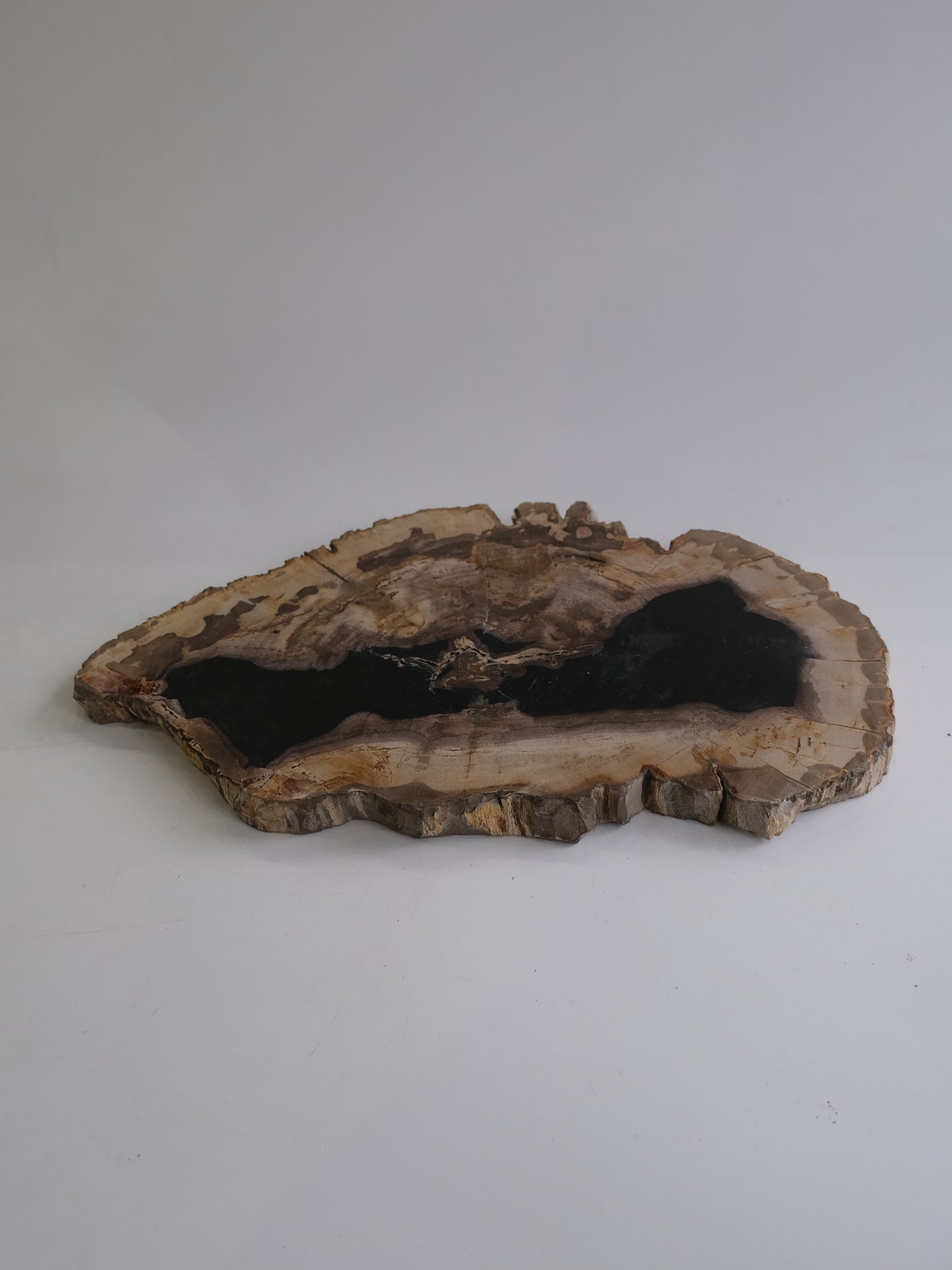 Wood Plate #008