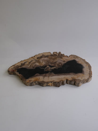 Wood Plate #008