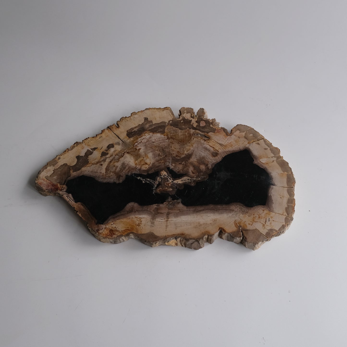 Wood Plate #008