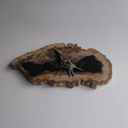 Wood Plate #008