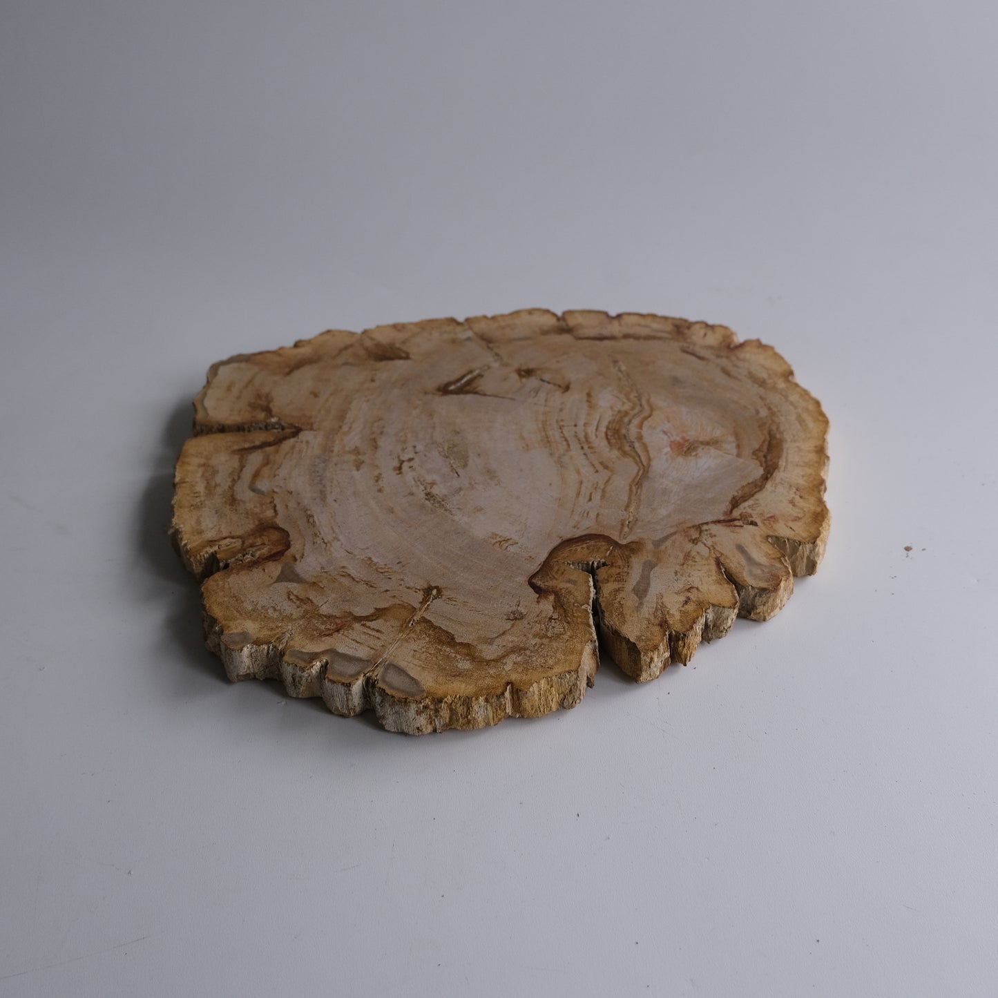 Wood Plate #010