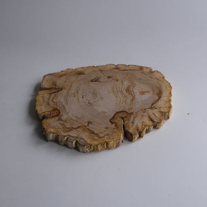 Wood Plate #010