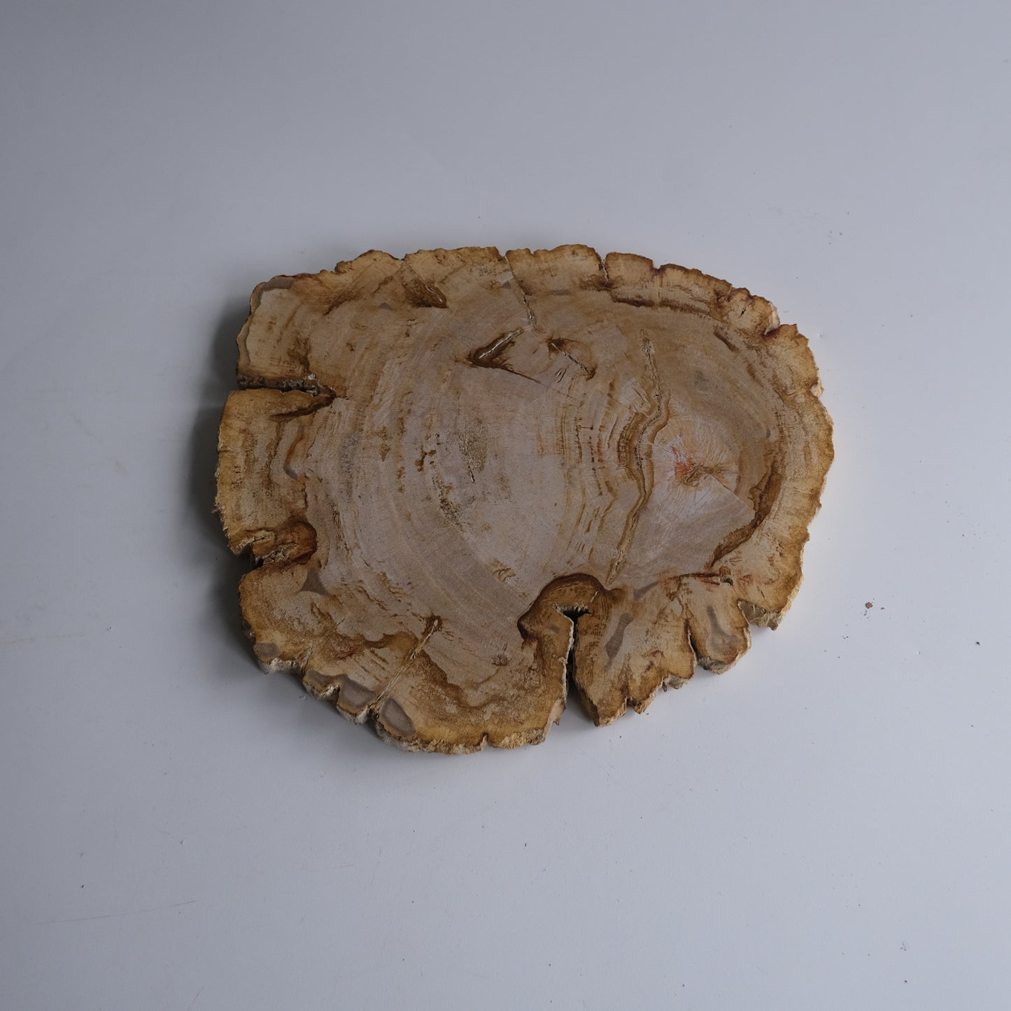 Wood Plate #010