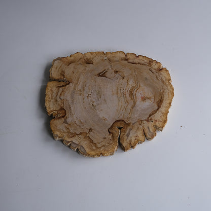 Wood Plate #010