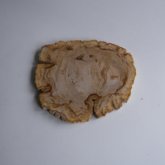 Wood Plate #010