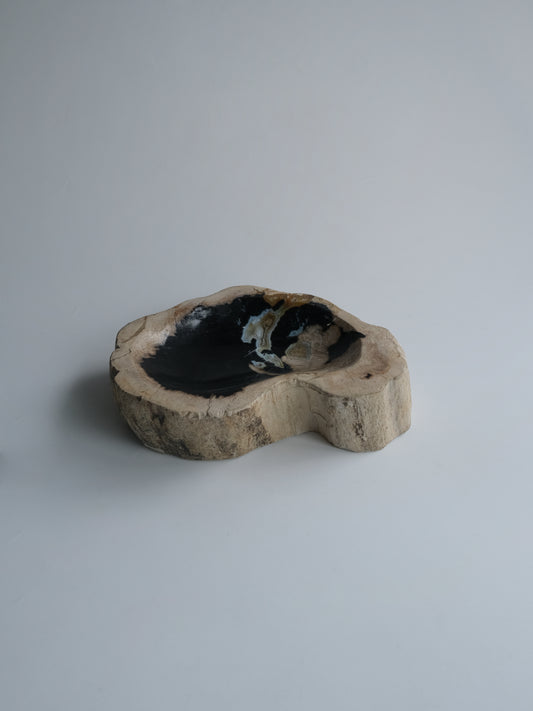 Accessory Tray #020