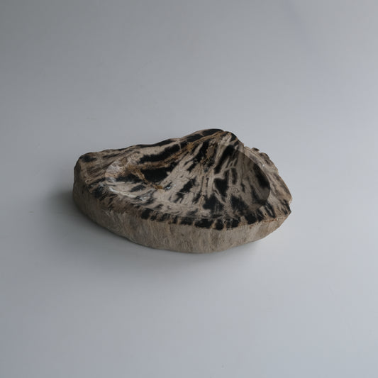 Accessory Tray #003