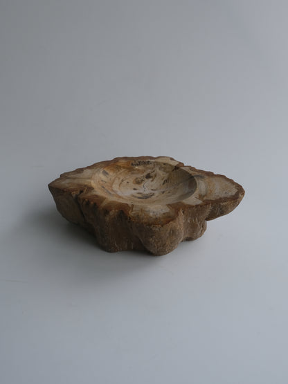 Accessory Tray #023
