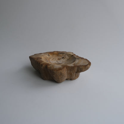 Accessory Tray #023