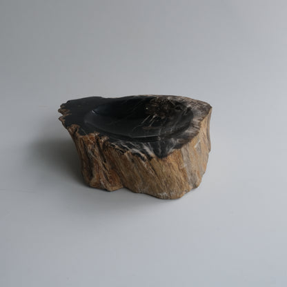 Accessory Tray #004