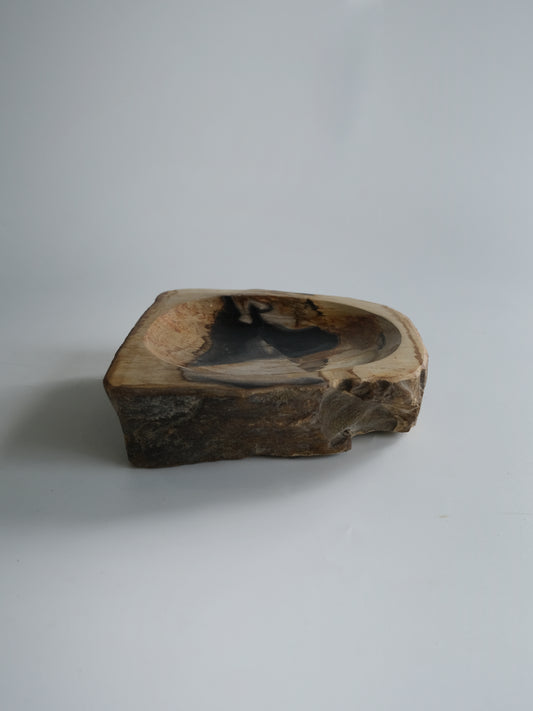 Accessory Tray #014