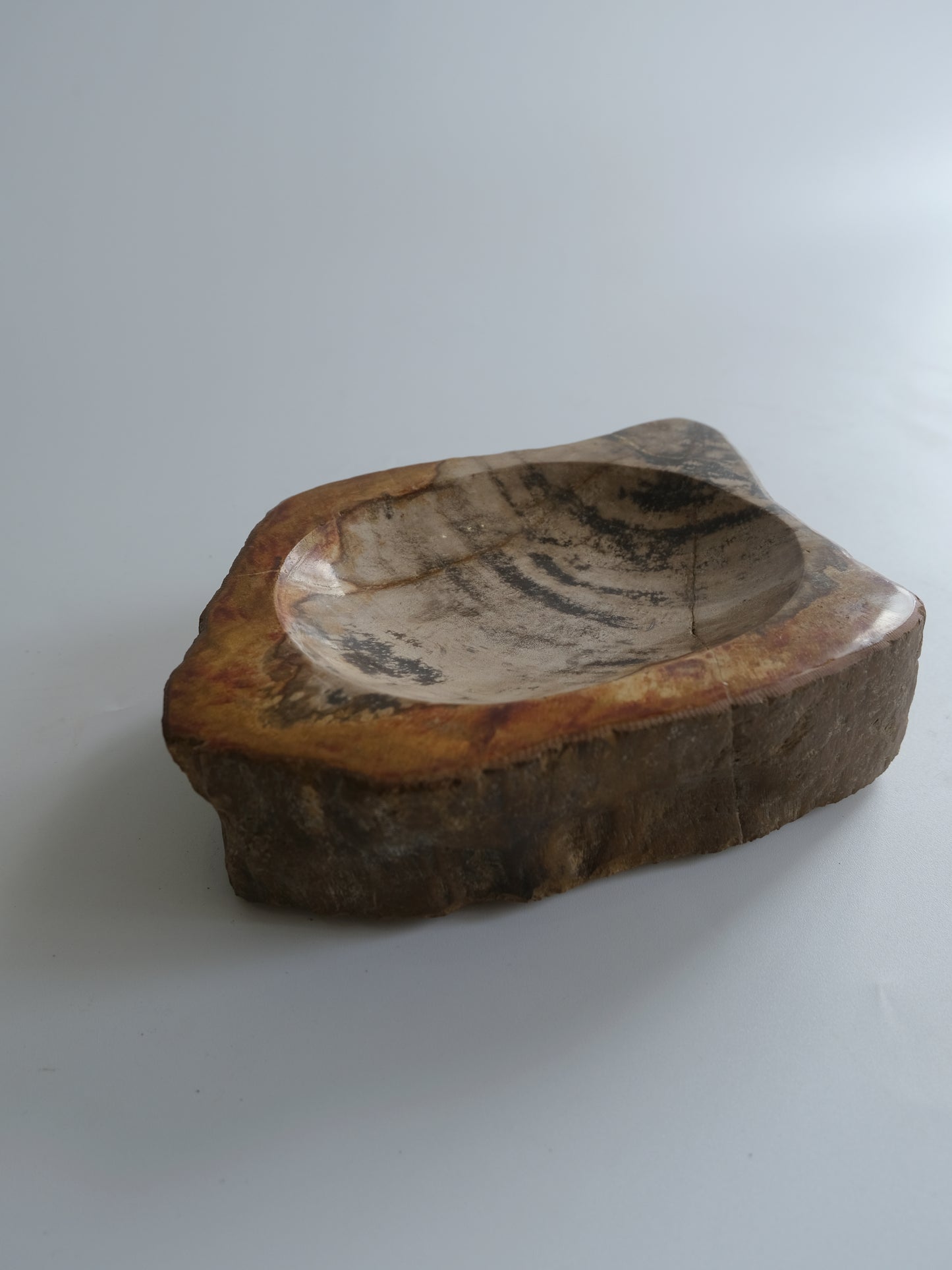 Accessory Tray #011