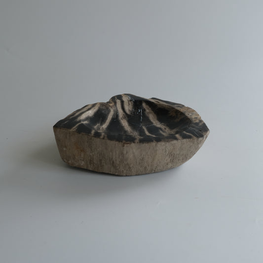 Accessory Tray #025