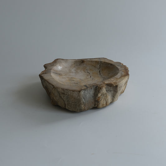 Accessory Tray #003