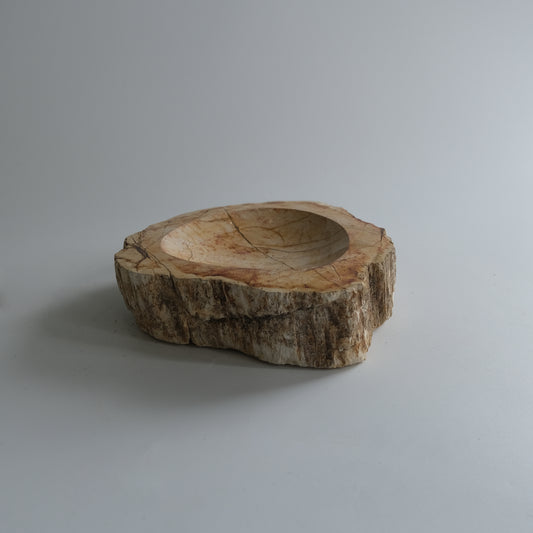 Accessory Tray #023
