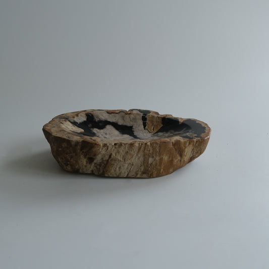 Accessory Tray #009