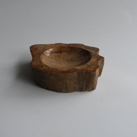 Accessory Tray #027