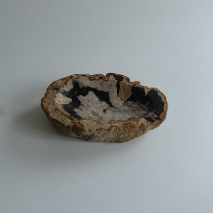 Accessory Tray #009