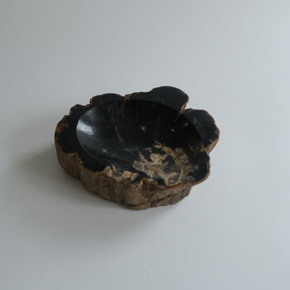 Accessory Tray #021