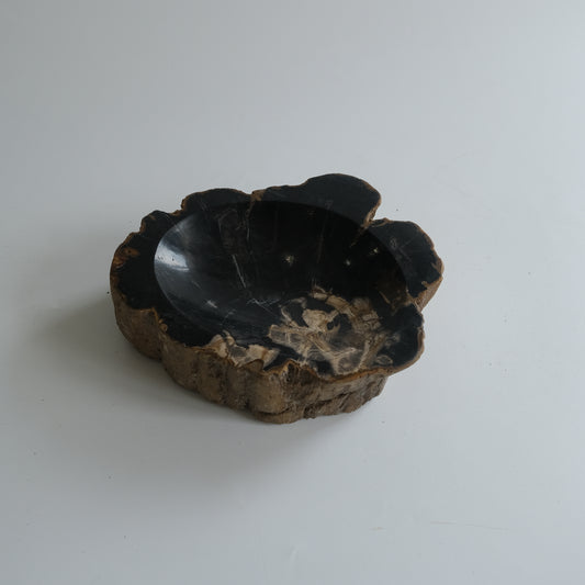 Accessory Tray #021