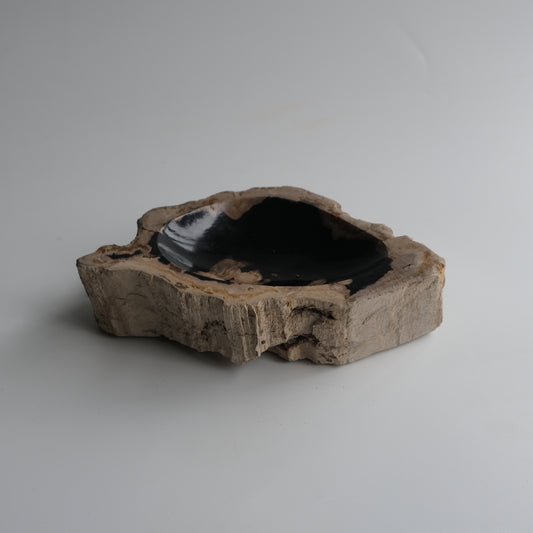 Accessory Tray #001