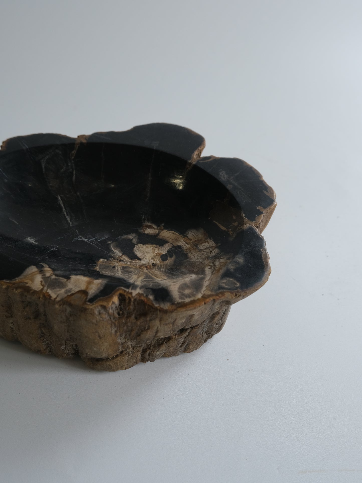Accessory Tray #021