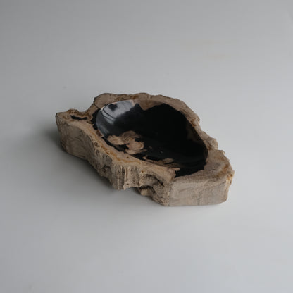 Accessory Tray #001