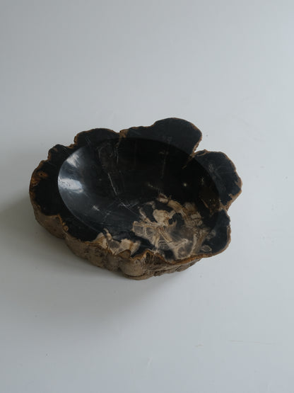 Accessory Tray #021