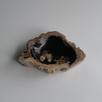 Accessory Tray #001