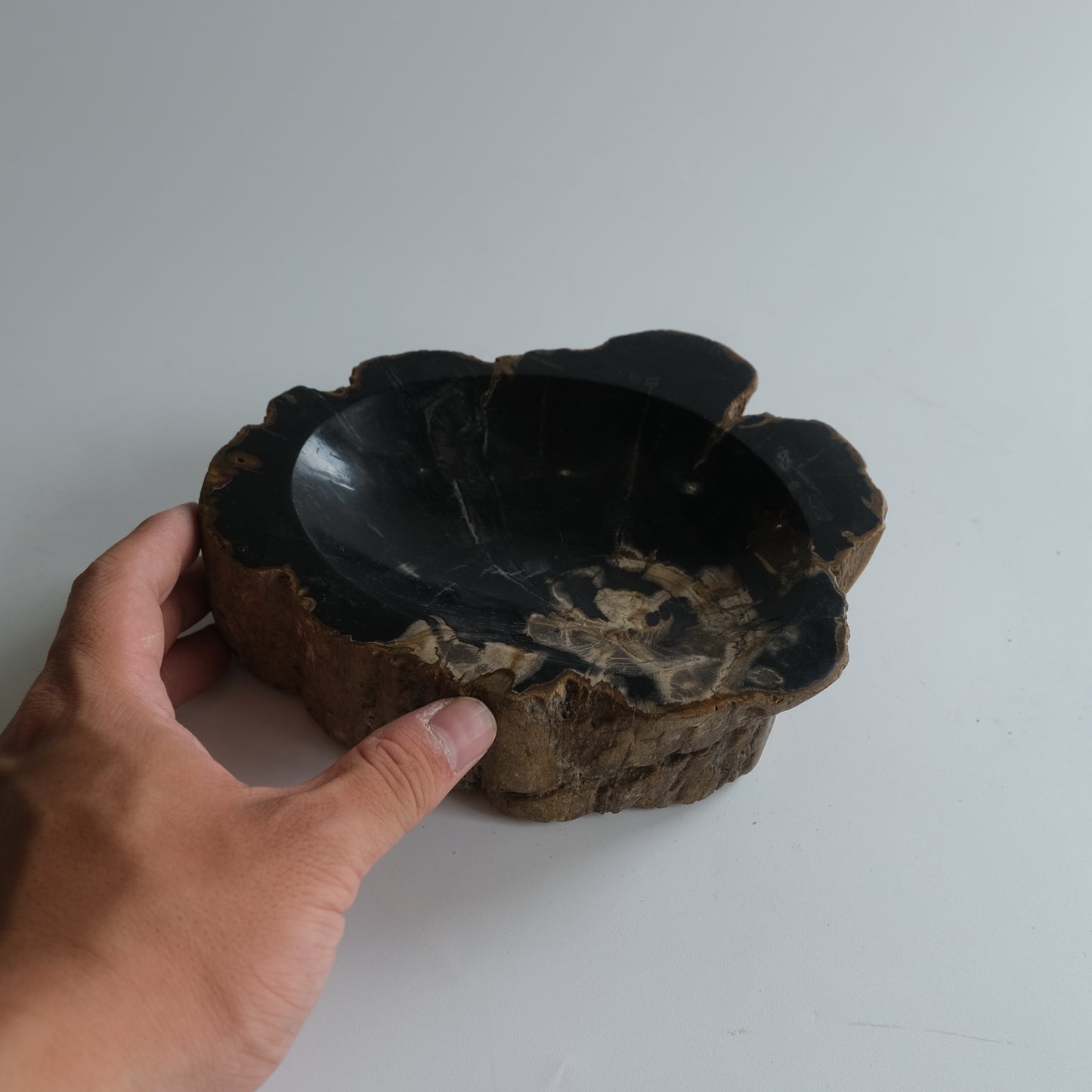 Accessory Tray #021