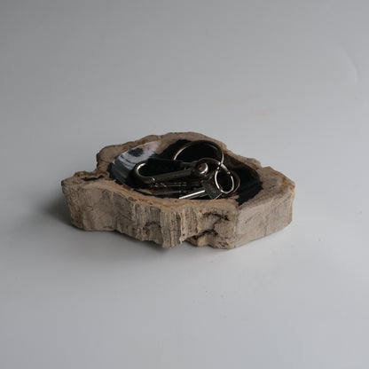 Accessory Tray #001